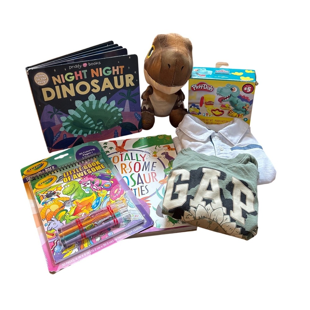 Gift Box‎ Gap Dinosaur Cat & Jack Bundle Kids Shirts Toys Books SIZE 2T